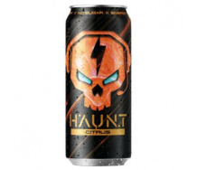 HAUNT 