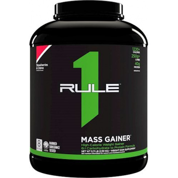 R1 MASS GAINER (Rule 1) - описание, отзывы, цена. Выбрать и купить R1 MASS GAINER в магазине "Железный аргумент" (Нижневартовск)